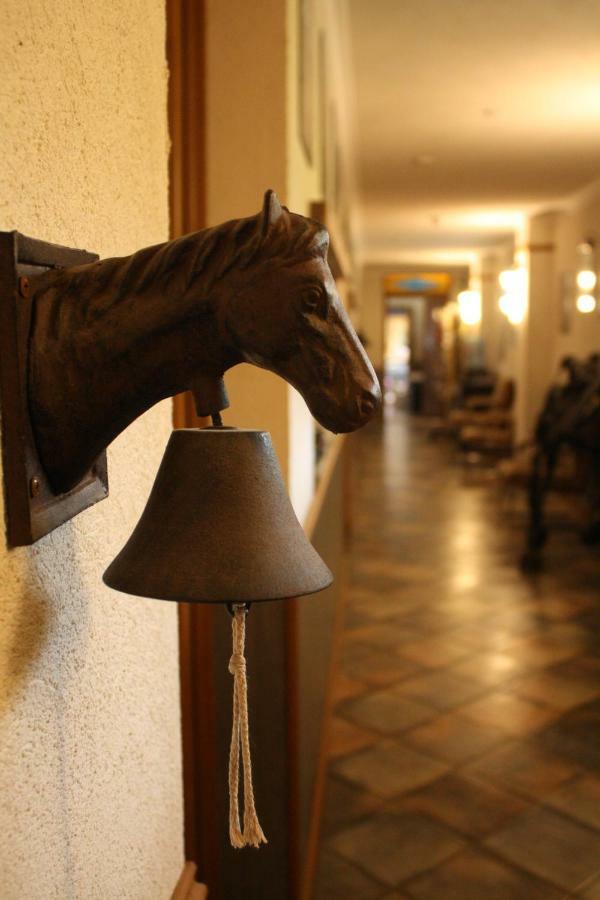 Standard Twin Room - Pet-Friendly
